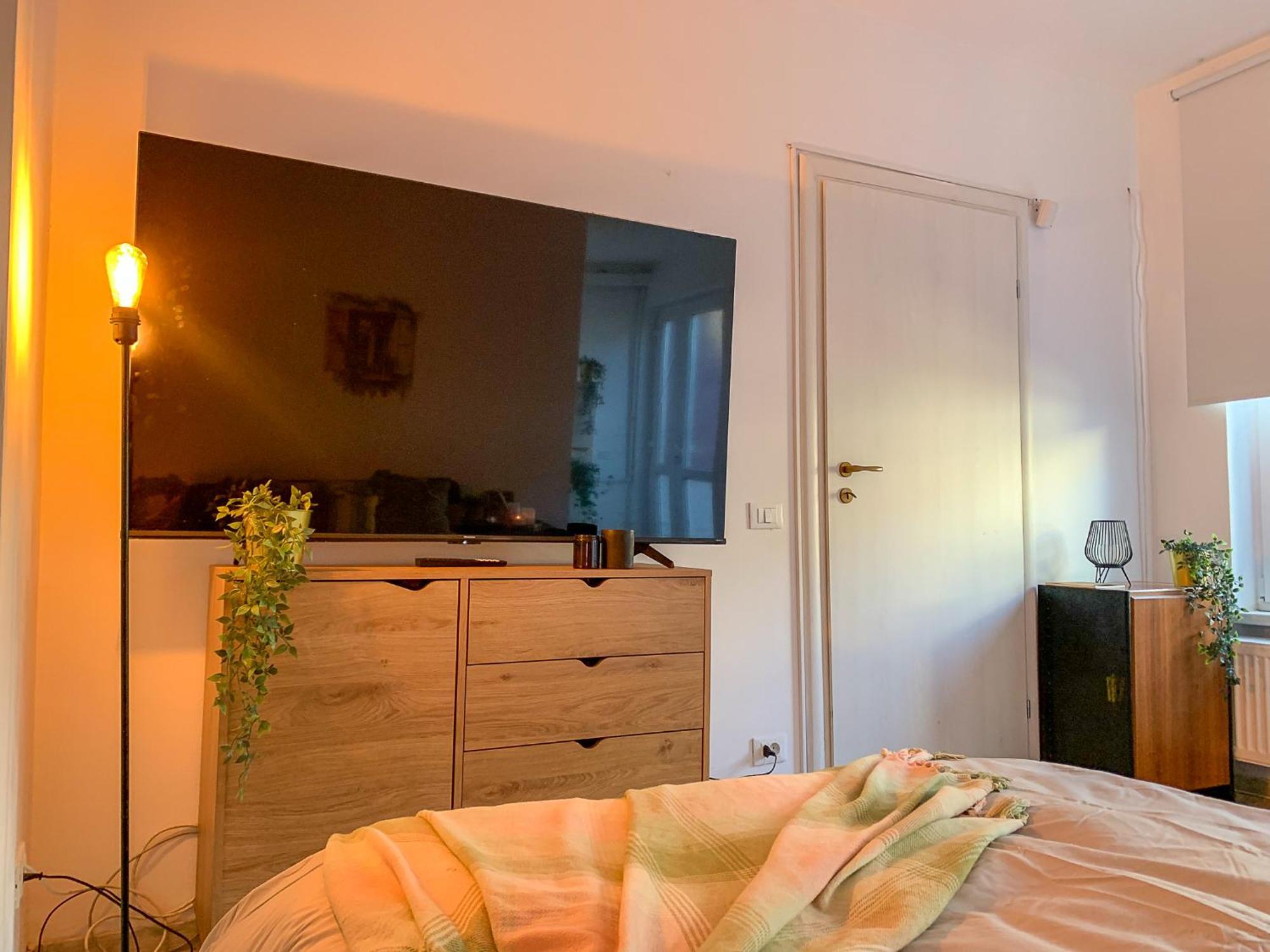 Downtown Tiny Houses Near Cismigiu Gardens بوخارست المظهر الخارجي الصورة